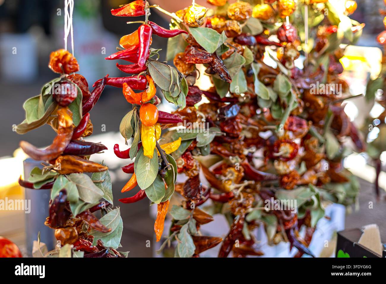 Ghirlande di peperoncini essiccati appesi al mercato all'aperto. Ghirlande appese di peperoncini rossi e arancioni essiccati con foglie verdi esposti su un Foto Stock