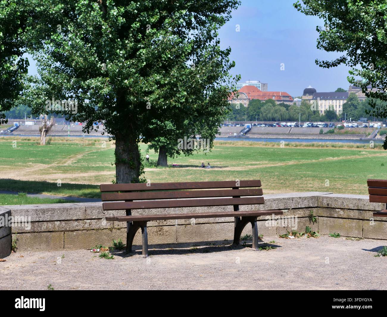 Una vista panoramica con una panchina di legno rivolta verso i vasti prati verdi del Reno a Düsseldorf. sullo sfondo, il fiume Reno scorre davanti ad edifici storici Foto Stock