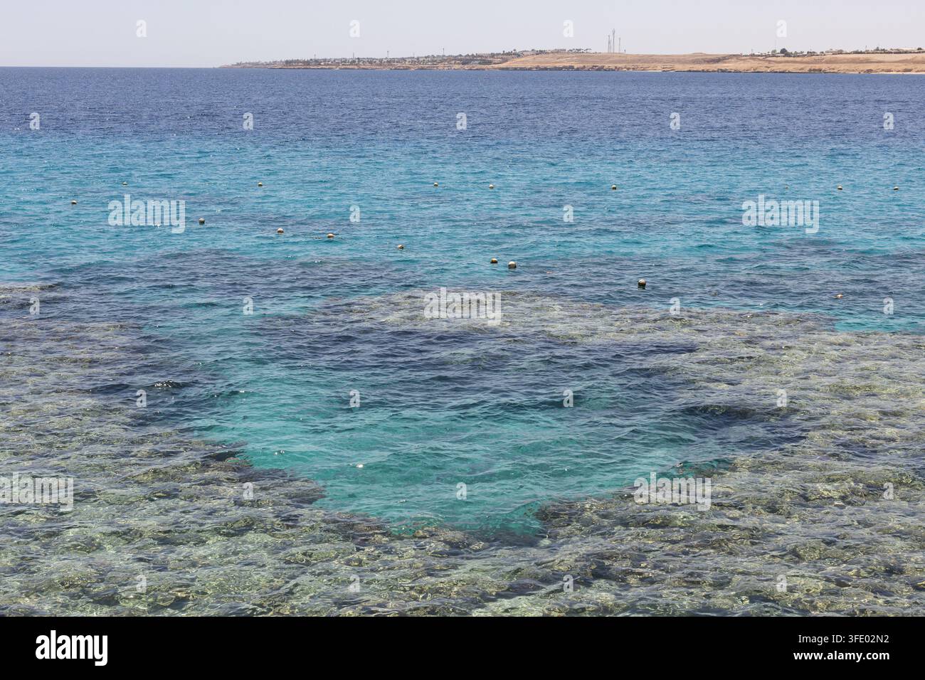 Acqua turchese chiara su una barriera corallina poco profonda vicino al Movenpick Resort Sharm El Sheikh, Egitto, con la costa del Mar Rosso in lontananza Foto Stock