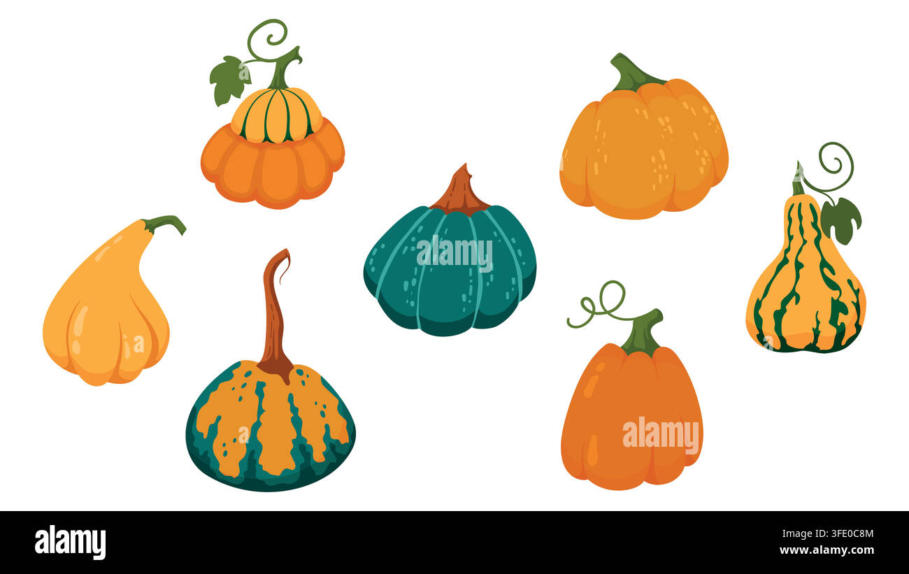 Simpatico zucca e zucchetta autunnali in diverse forme e colori, isolati su bianco. Raccolta autunnale stravagante, decorazione per il Ringraziamento, Halloween Illustrazione Vettoriale