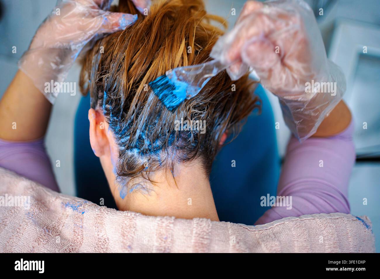 Donna che tinge i capelli con un pennello a casa Foto Stock