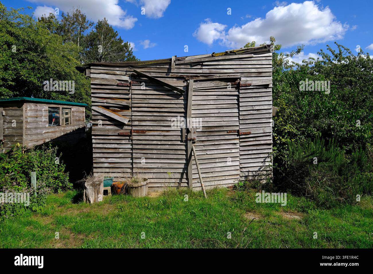grande capanna in legno per orti, Norfolk, Inghilterra Foto Stock