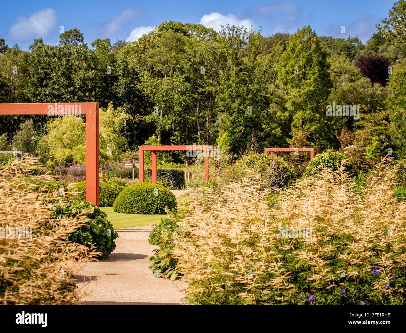 Teli di pergola in acciaio verniciati nel Worsley Welcome Garden presso il RHS Garden Bridgewater, Salford. Foto Stock