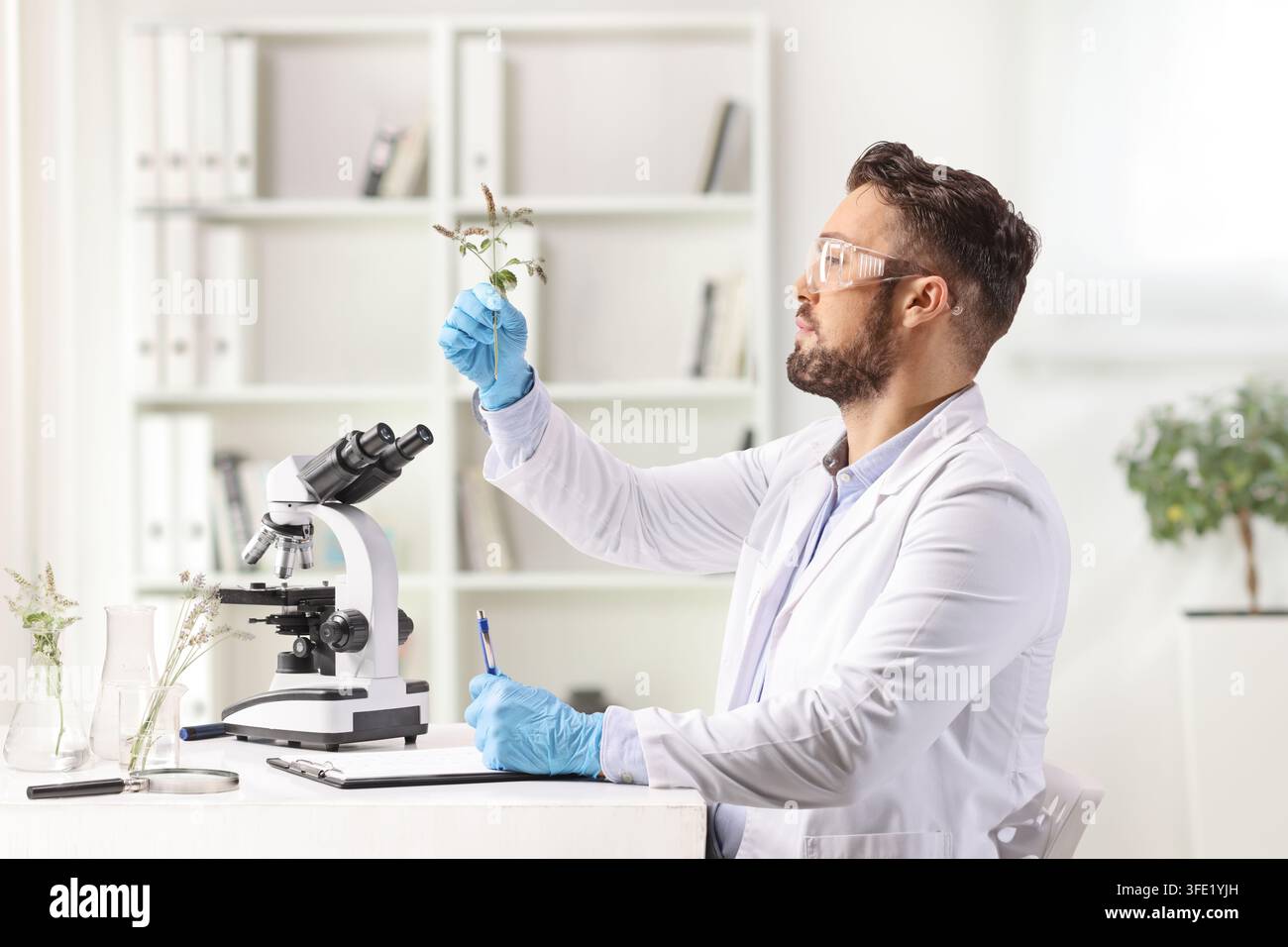Scienziato che ispeziona un campione di flora in laboratorio con un microscopio Foto Stock