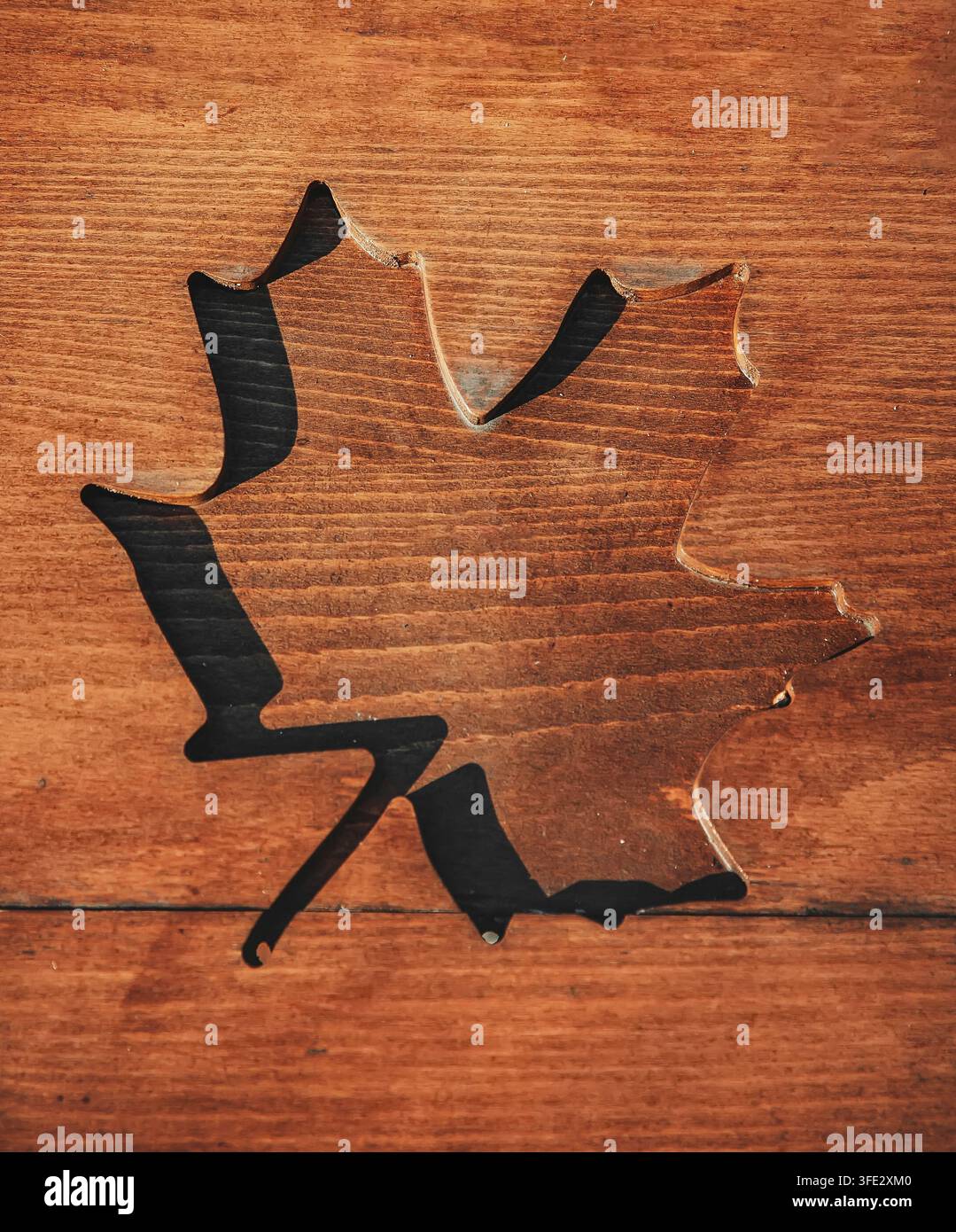 Forma di foglie intagliata in una superficie di legno Foto Stock