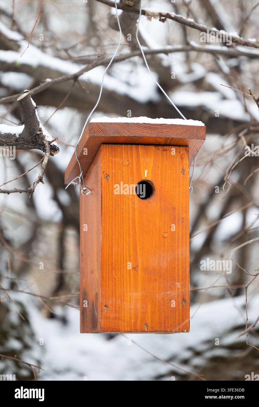Mangiatoia per uccelli tavolo per uccelli appeso a un albero in inverno Foto Stock