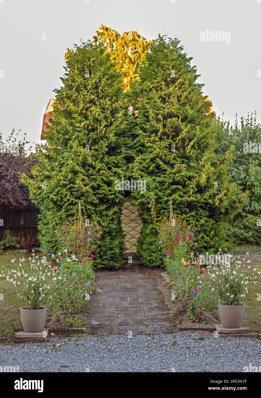 Un sentiero del giardino con aiuole fiorite su entrambi i lati al crepuscolo. (giardino privato) Foto Stock