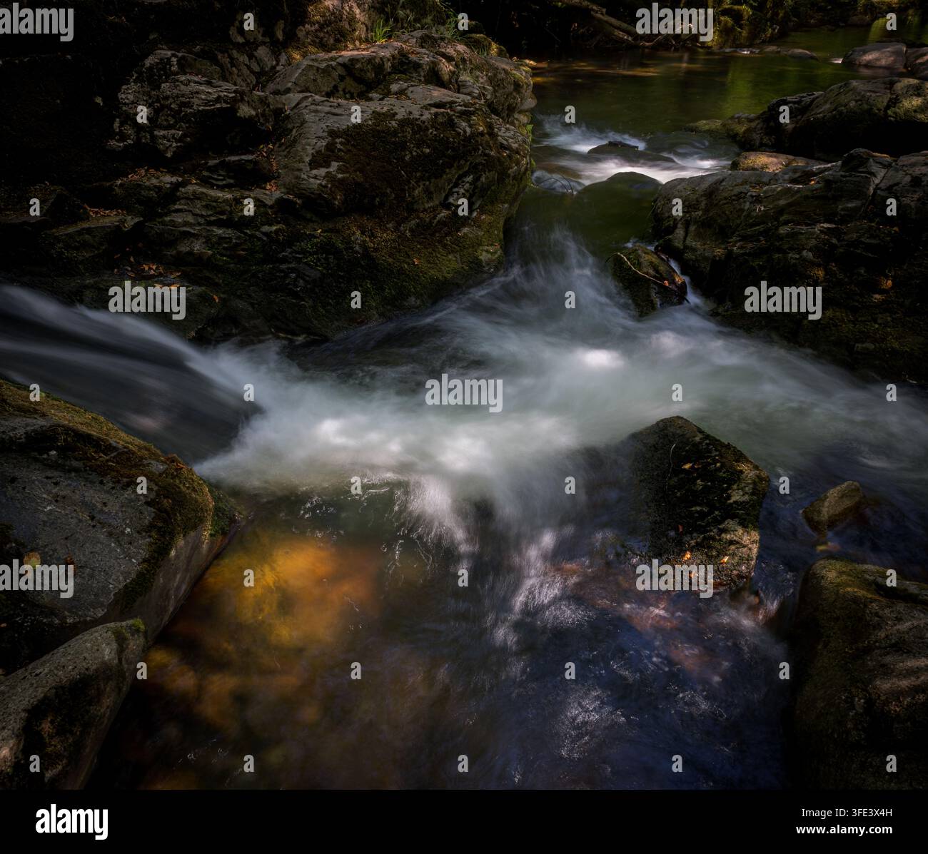 Acqua che scorre su rocce, fiume Erme nei boschi di Longtimber, Ivybridge, Devon, Regno Unito Foto Stock
