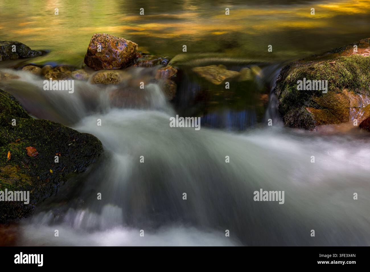 Acqua che scorre su rocce, fiume Erme nei boschi di Longtimber, Ivybridge, Devon, Regno Unito Foto Stock