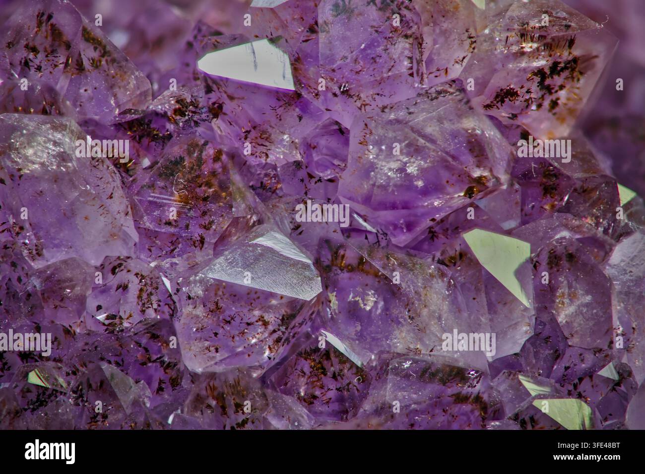 Close-up macro di un gruppo di cristalli di quarzo ametista viola con punti cristallini naturali che crescono su una matrice rocciosa. Foto Stock