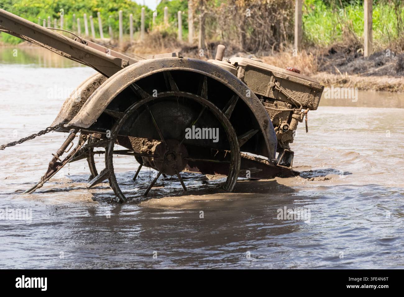 Trattore a passeggio coperto di fango che lavora in un campo di riso allagato durante la preparazione del terreno per la semina di colture e la coltivazione agricola rurale Foto Stock
