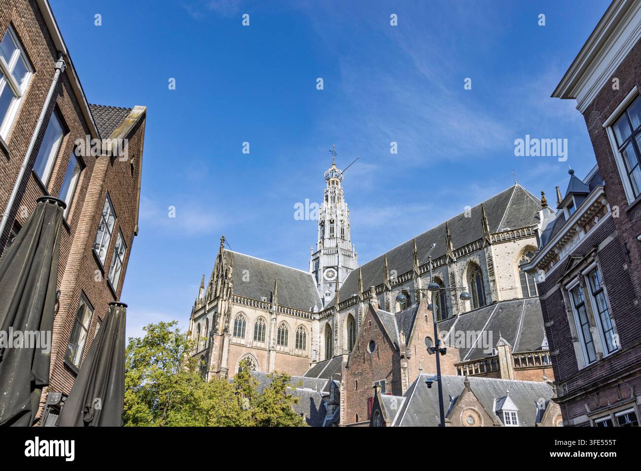 Haarlem, Paesi Bassi: Vista ad angolazione bassa della torre monumentale della chiesa di San Bavo che si erge sopra le case storiche della città. Foto Stock