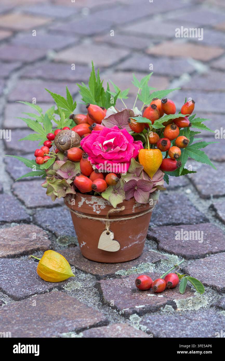 Composizione floreale con una rosa rossa, bacche di rose, fiori di ortensia, physalis e foglie d'acero in un vaso di terracotta Foto Stock