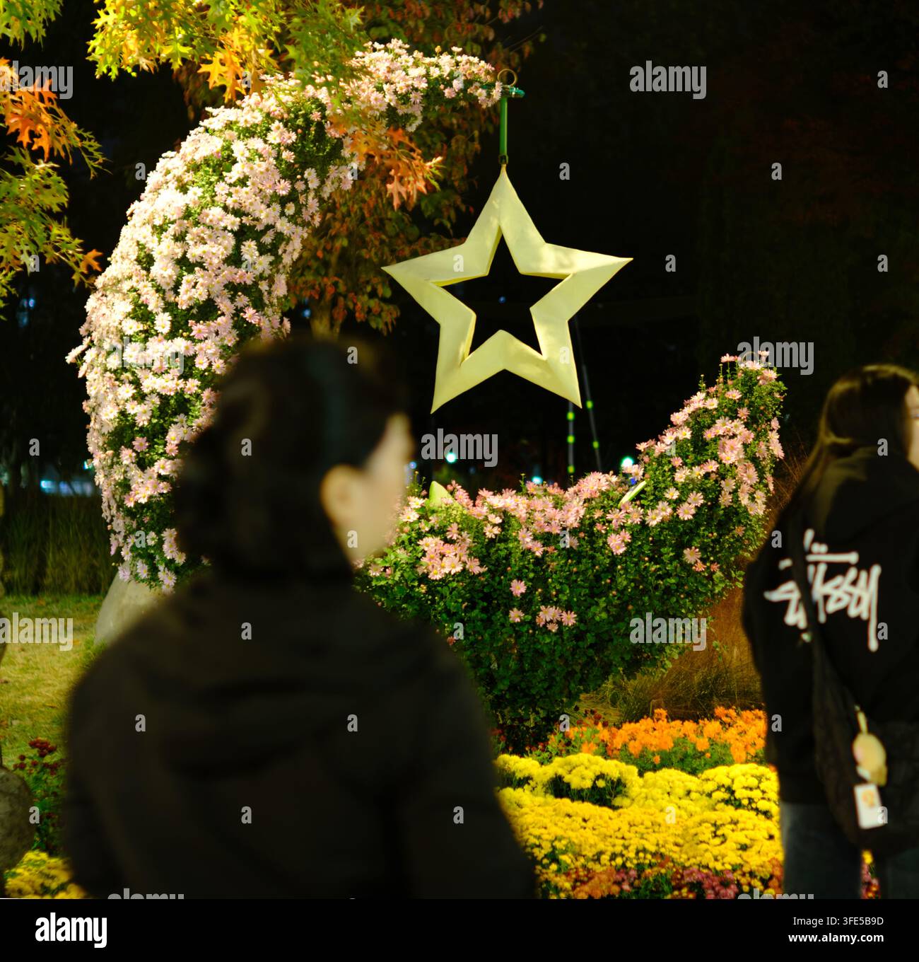 Vista notturna di un arrangiamento floreale a forma di mezzaluna con decorazione a stelle durante un festival a Daejeon, Corea. Foto Stock