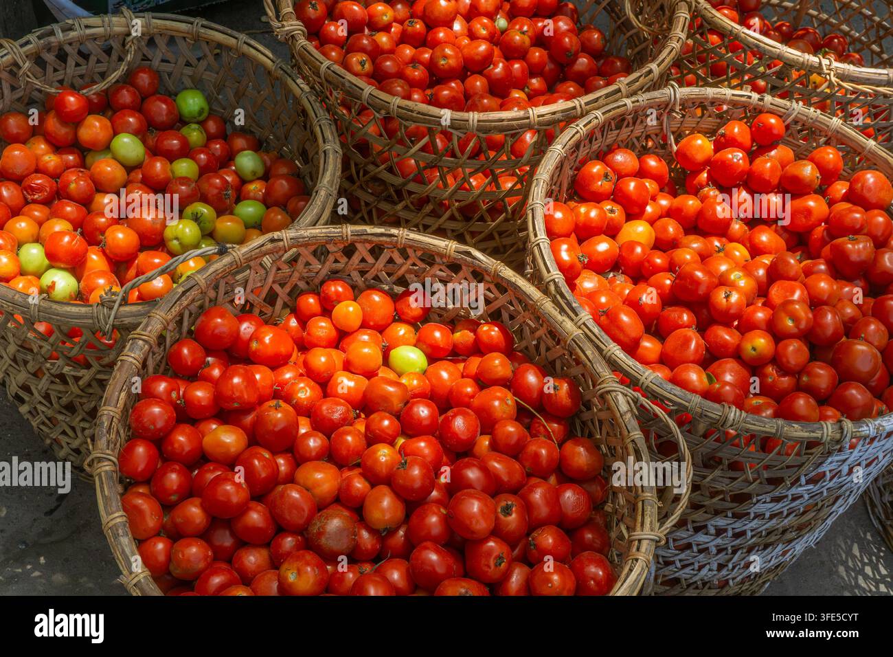 Pomodori rossi freschi disposti in cesti intrecciati come prodotti agricoli abbondanti Foto Stock