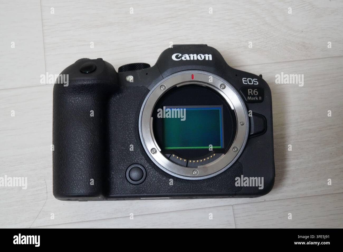 Primo piano del corpo macchina Canon EOS R6 Mark II senza specchio che mostra il sensore e il supporto per obiettivi Foto Stock