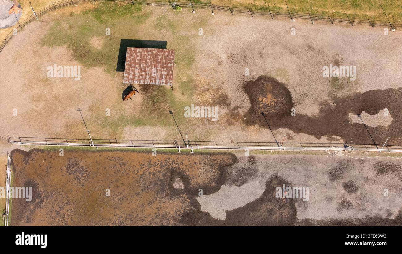 Vista aerea di un cavallo che si trova in un recinto di terra con un piccolo riparo e un recinto recintato a Yogyakarta, Regione Speciale di Yogyakarta, Indonesia. Foto Stock