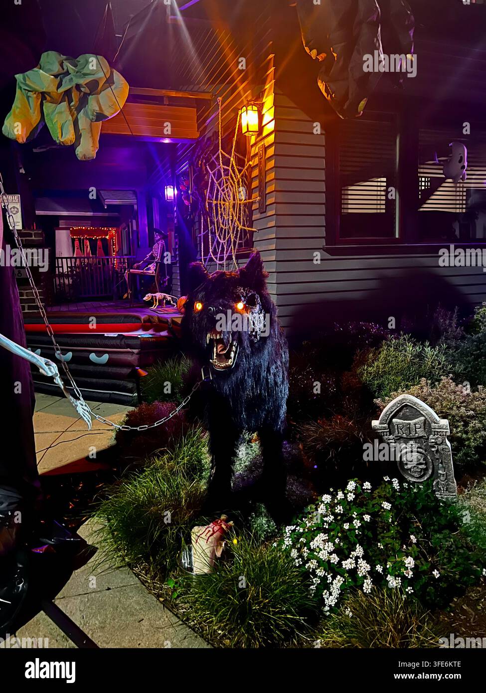 SAN DIEGO, CA - 28 OTTOBRE 2025: Una spaventosa figura di repertorio di lupo mannaro nero con occhi arancioni luminosi posizionata accanto a una lapide in un cortile residenziale di periferia Foto Stock