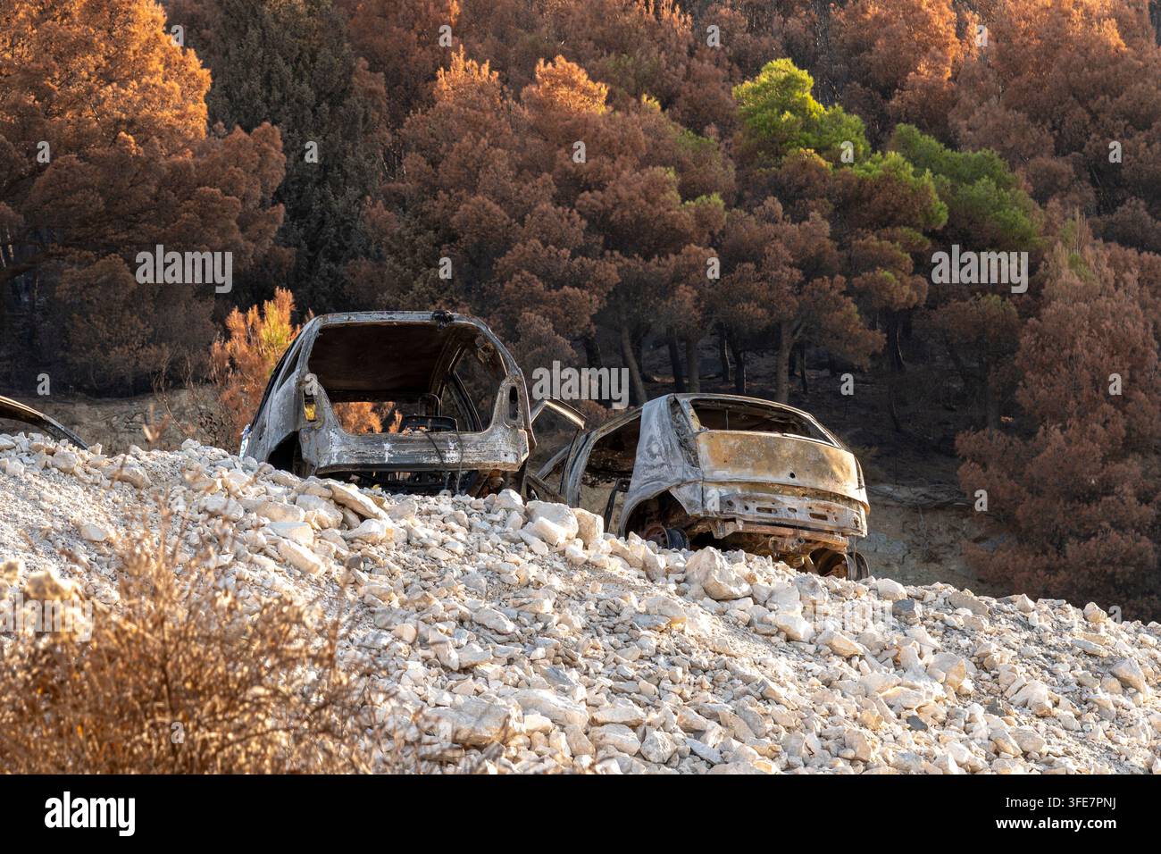 Due auto bruciate si trovano su un pendio roccioso davanti a un paesaggio boschivo bruciato. Foto Stock