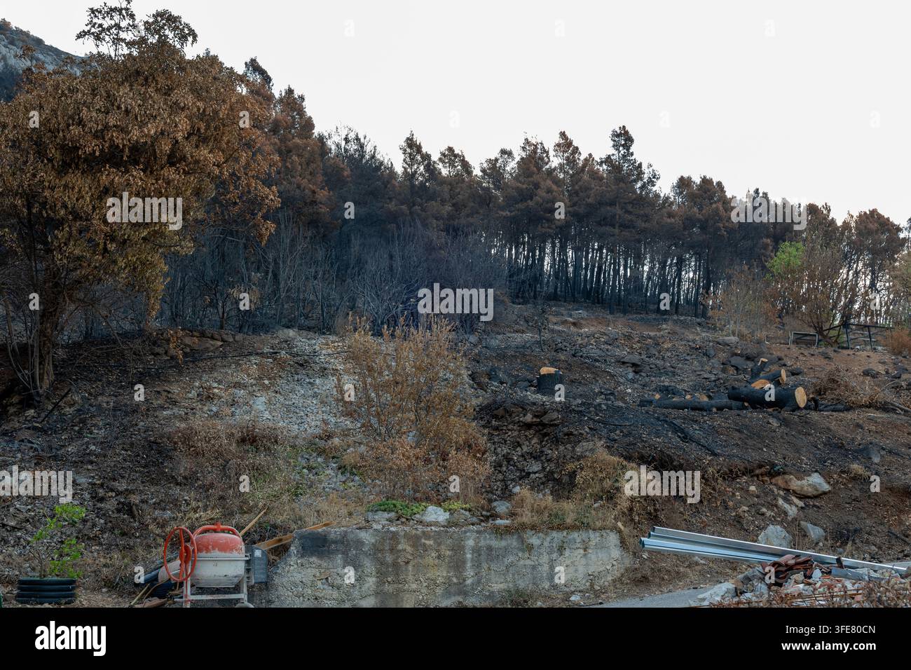 Una collina bruciata in Croazia mostra alberi carbonizzati, terra bruciata e terreno roccioso danneggiato. Foto Stock