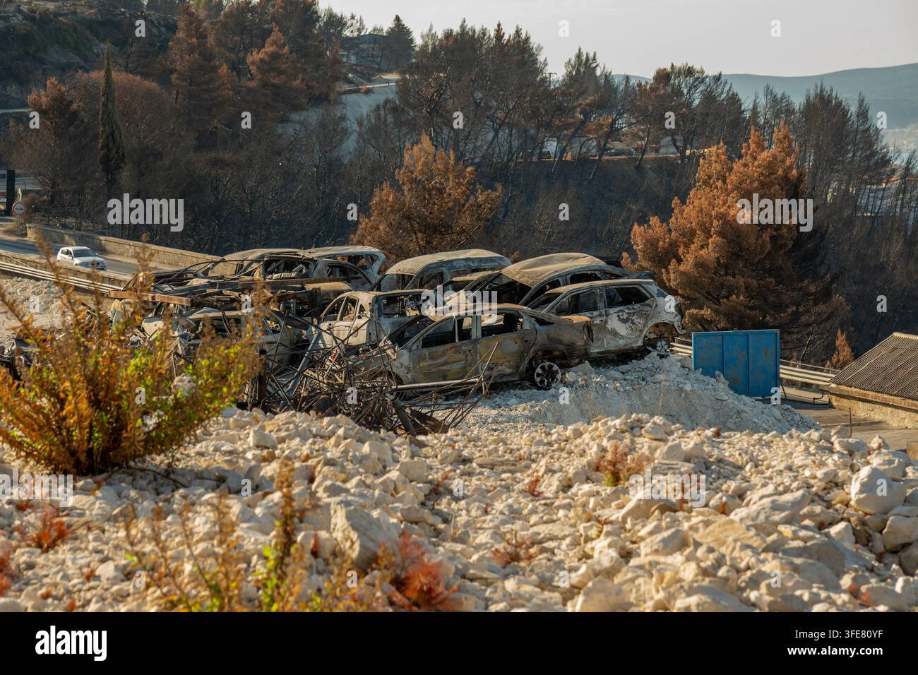 Auto bruciate si trovano su una collina rocciosa tra alberi carbonizzati in Croazia. Foto Stock