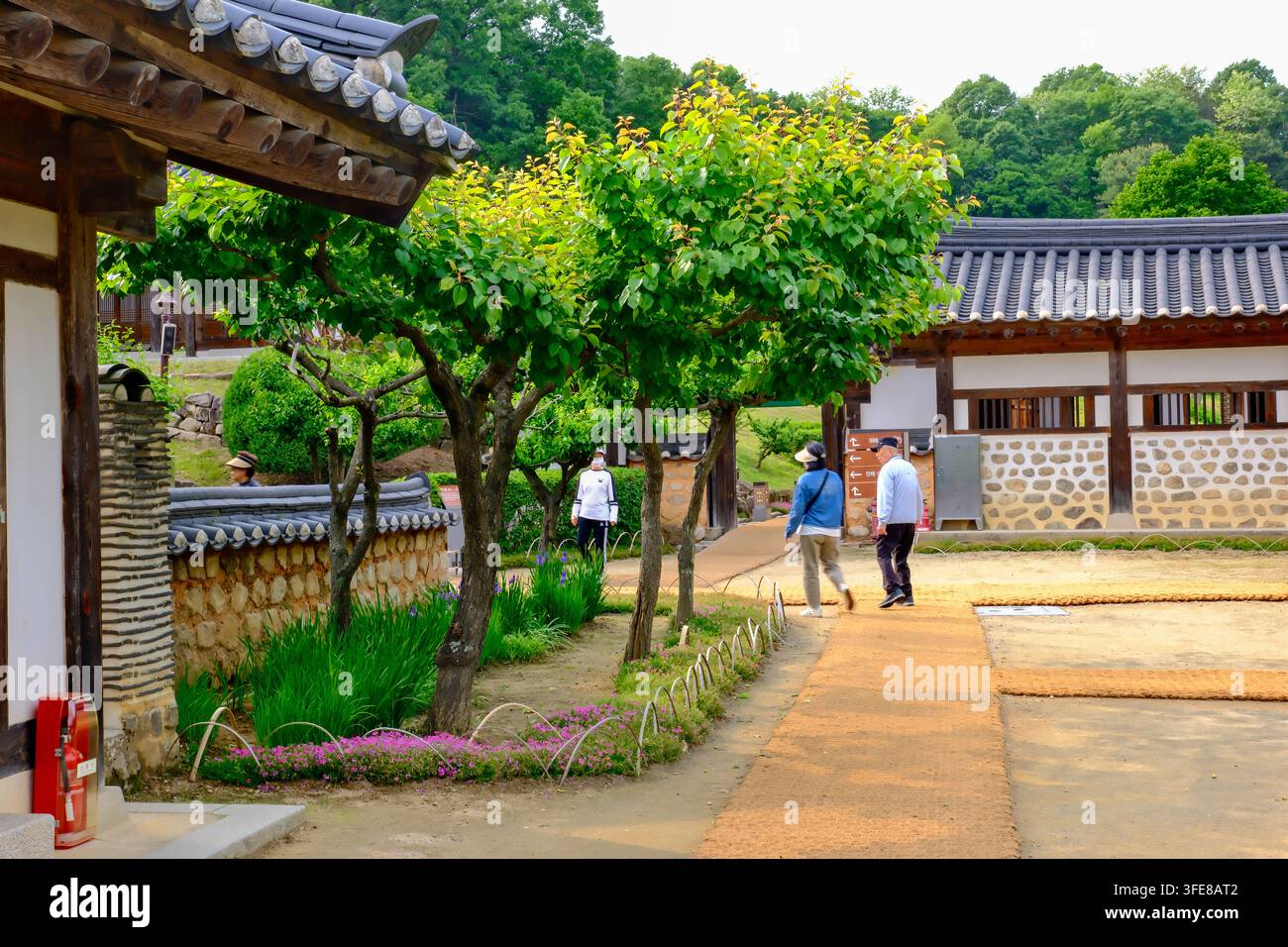 I visitatori passeggiano attraverso un giardino sereno circondato da tradizionali edifici hanok coreani in Corea. Foto Stock
