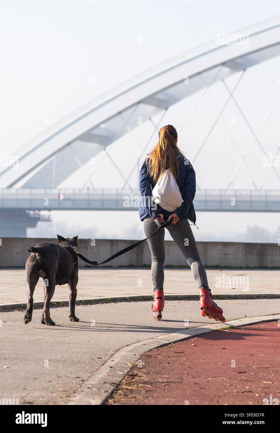 Donna che pattina con un grosso cane nero al guinzaglio lungo una passeggiata sul lungomare in una giornata di sole, combinando ricreazione all'aperto, esercizio fisico e compagnia Foto Stock