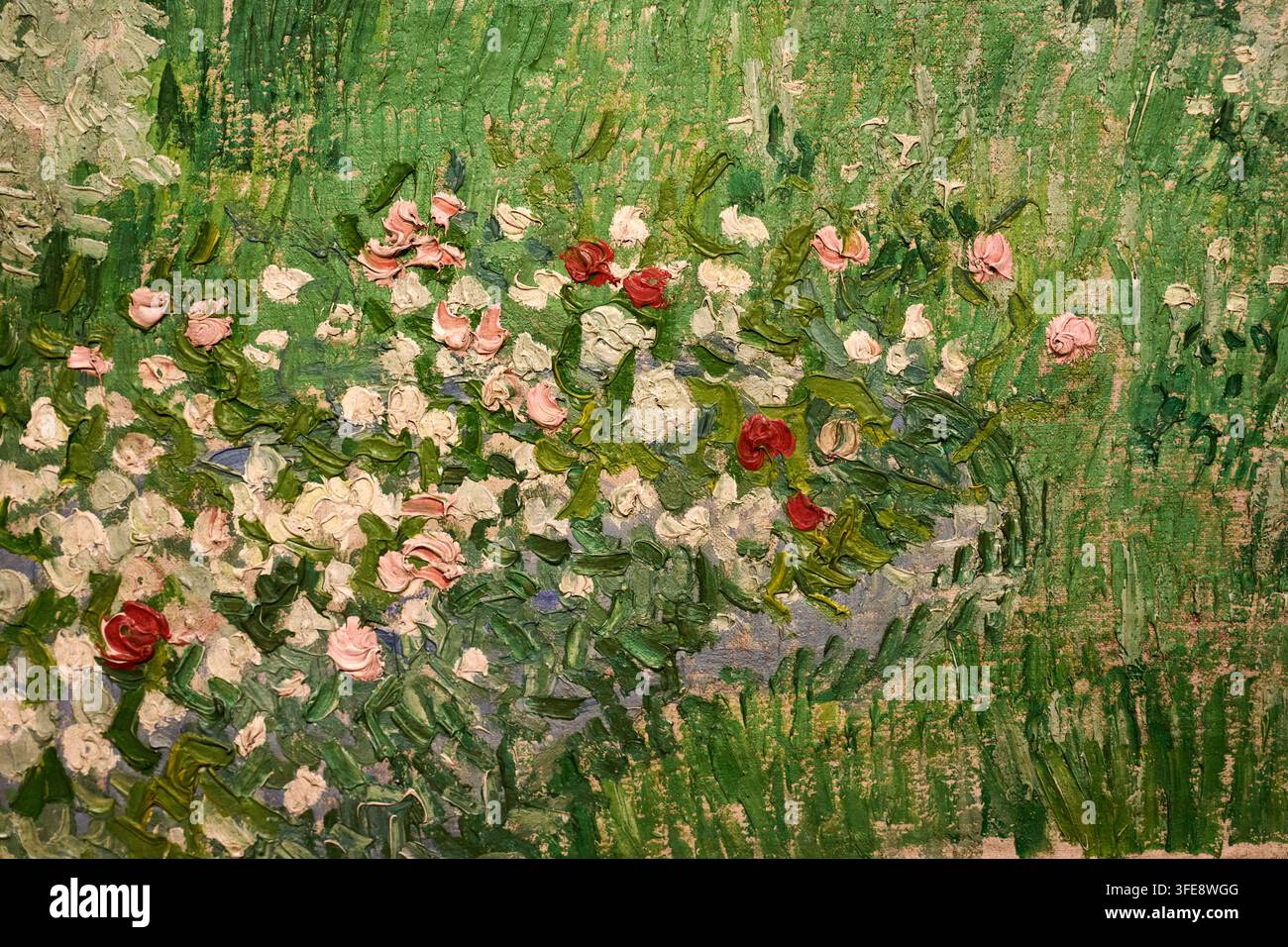 Giardino di Daubigny, 1890, Vincent van Gogh (Zundert 1853 - Auvers-sur-Oise 1890), Museo Van Gogh, Amsterdam, Paesi Bassi Foto Stock