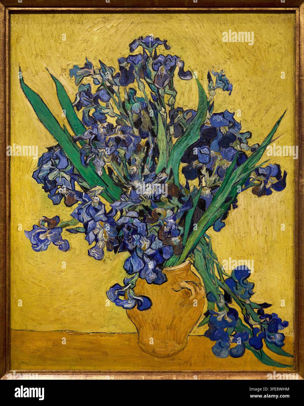 Giunchi, 1890, Vincent van Gogh (Zundert 1853 - Auvers-sur-Oise 1890), Museo Van Gogh, Amsterdam, Paesi Bassi Foto Stock
