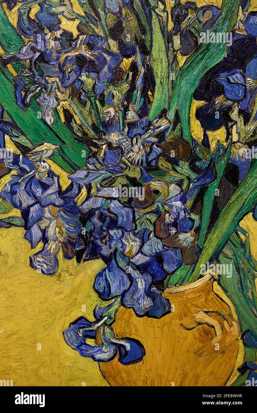 Giunchi, 1890, Vincent van Gogh (Zundert 1853 - Auvers-sur-Oise 1890), Museo Van Gogh, Amsterdam, Paesi Bassi Foto Stock