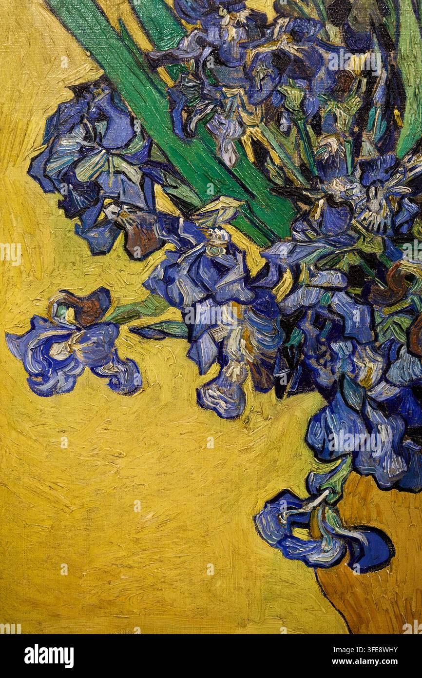 Giunchi, 1890, Vincent van Gogh (Zundert 1853 - Auvers-sur-Oise 1890), Museo Van Gogh, Amsterdam, Paesi Bassi Foto Stock