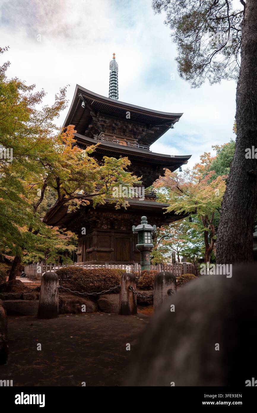 Una pagoda tradizionale in legno scuro a tre piani con una guglia dorata si erge dietro una vegetazione autunnale e pilastri di pietra collegati da catene. Tempio Gotokuji. Foto Stock