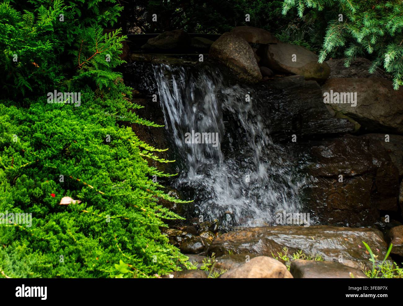 Una cascata rocciosa dall'aspetto naturale inserita in un giardino e circondata da una lussureggiante vegetazione a foglia perenne. Foto Stock