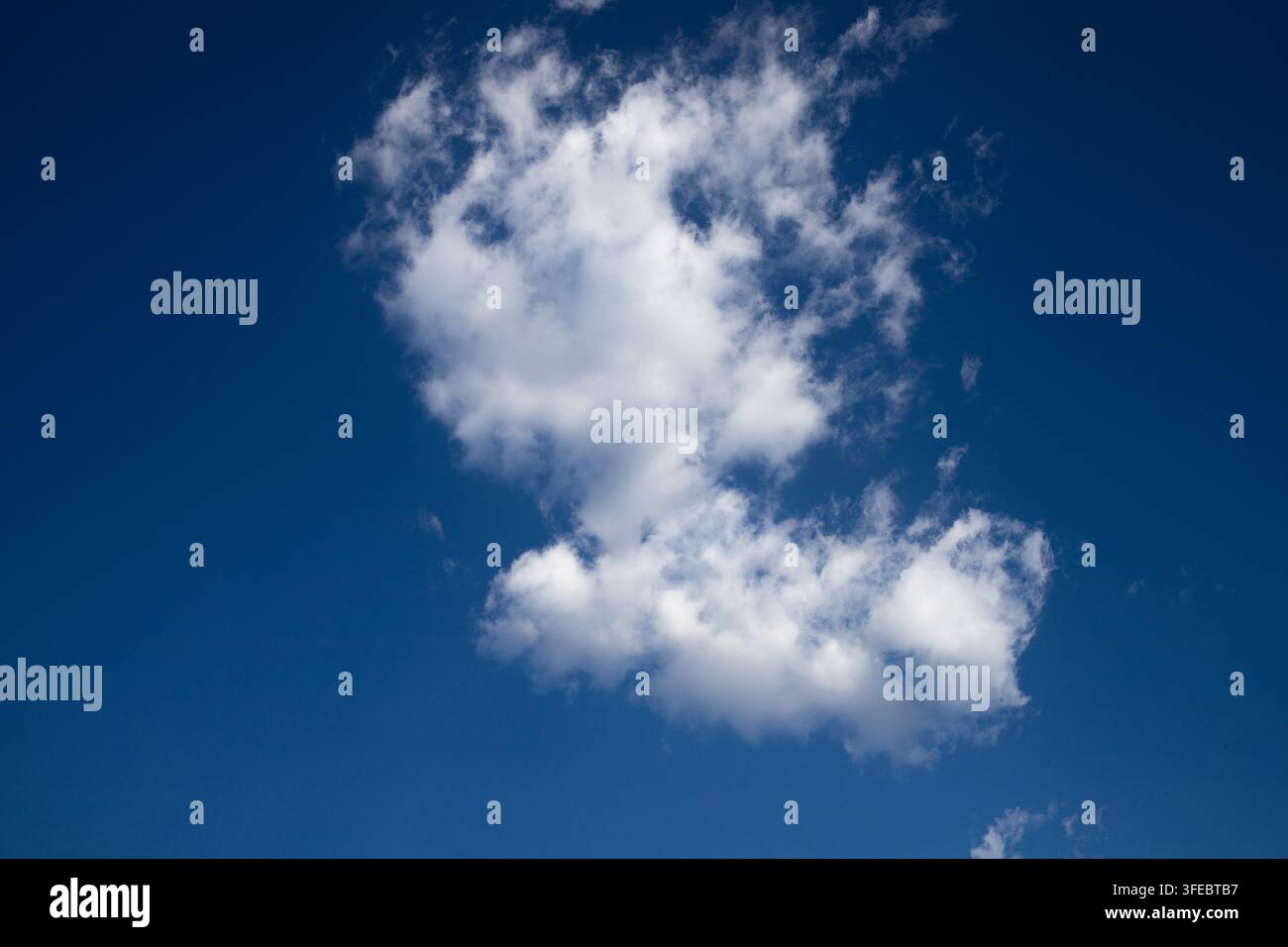 Nuvola bianca e soffice che galleggia contro un cielo blu profondo. Una texture morbida crea una sensazione di libertà, calma e purezza naturale. Foto Stock