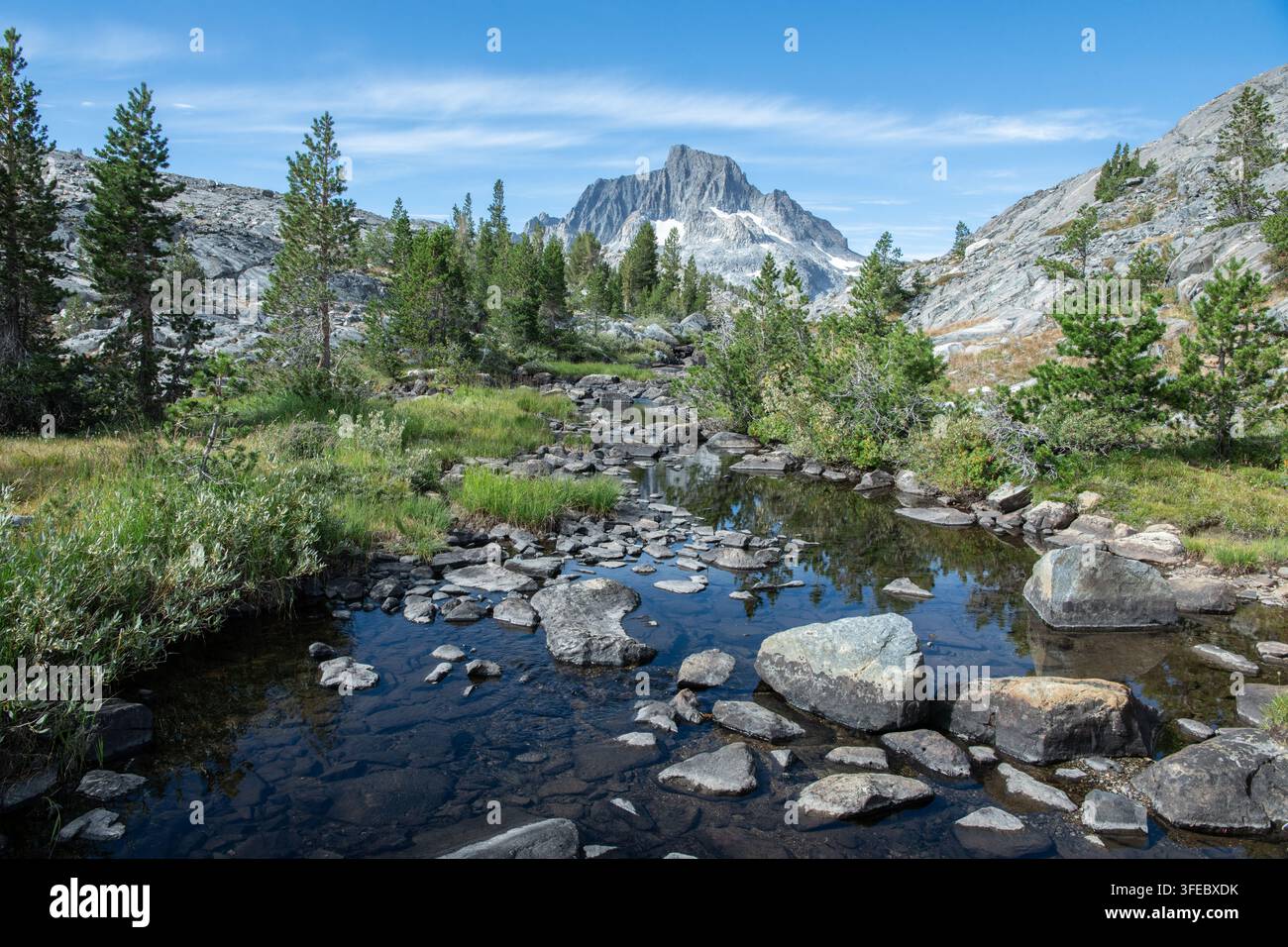 Un torrente d'acqua dolce incontaminato nelle montagne della Sierra Nevada in California, scorre attraverso la bellissima e aspra paesaggio montano. Foto Stock
