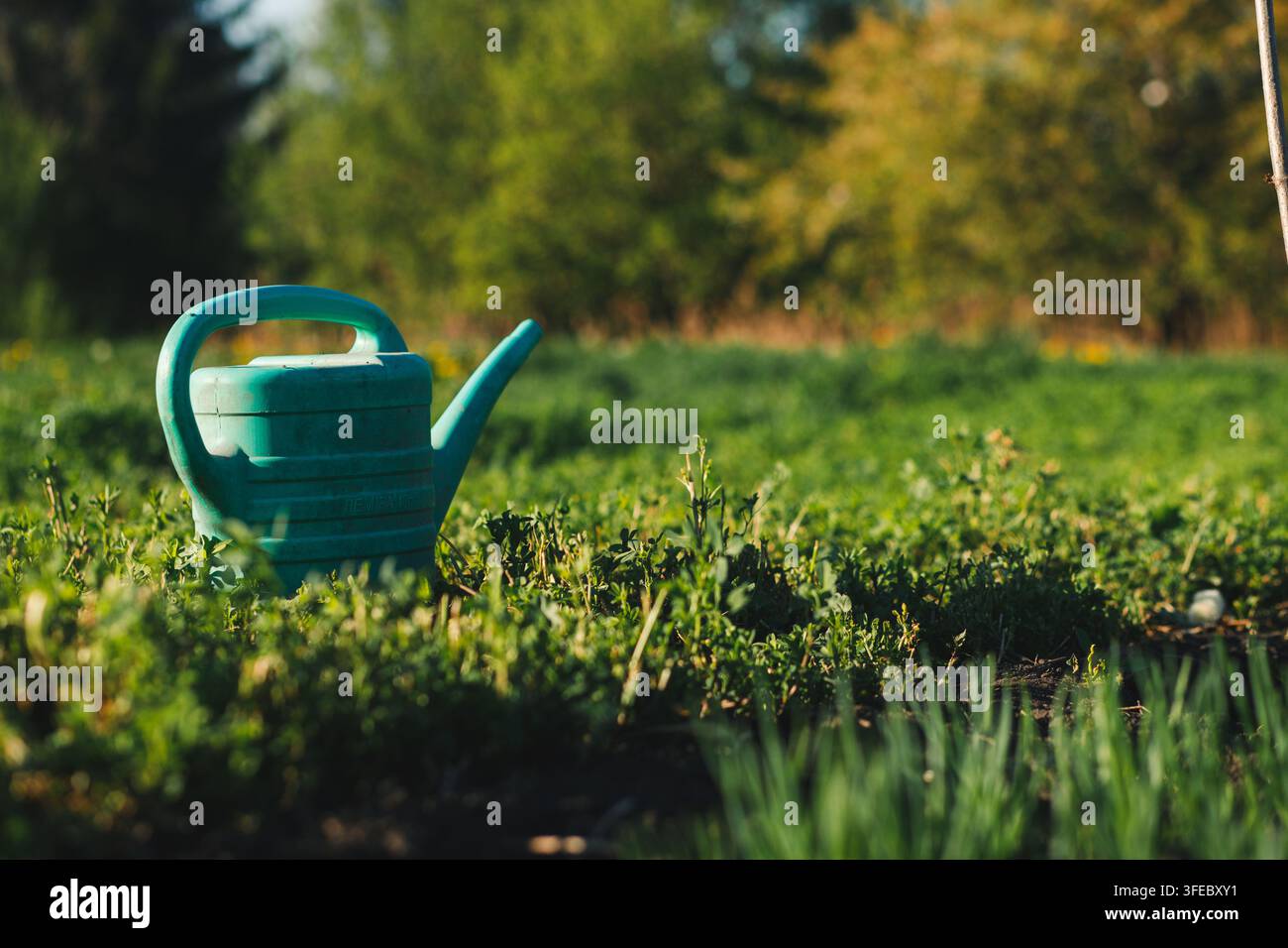 Annaffiatoio di plastica blu si trova sull'erba verde in un giardino soleggiato. Concetto di cura delle piante in primavera e orticoltura nel cortile. Foto Stock