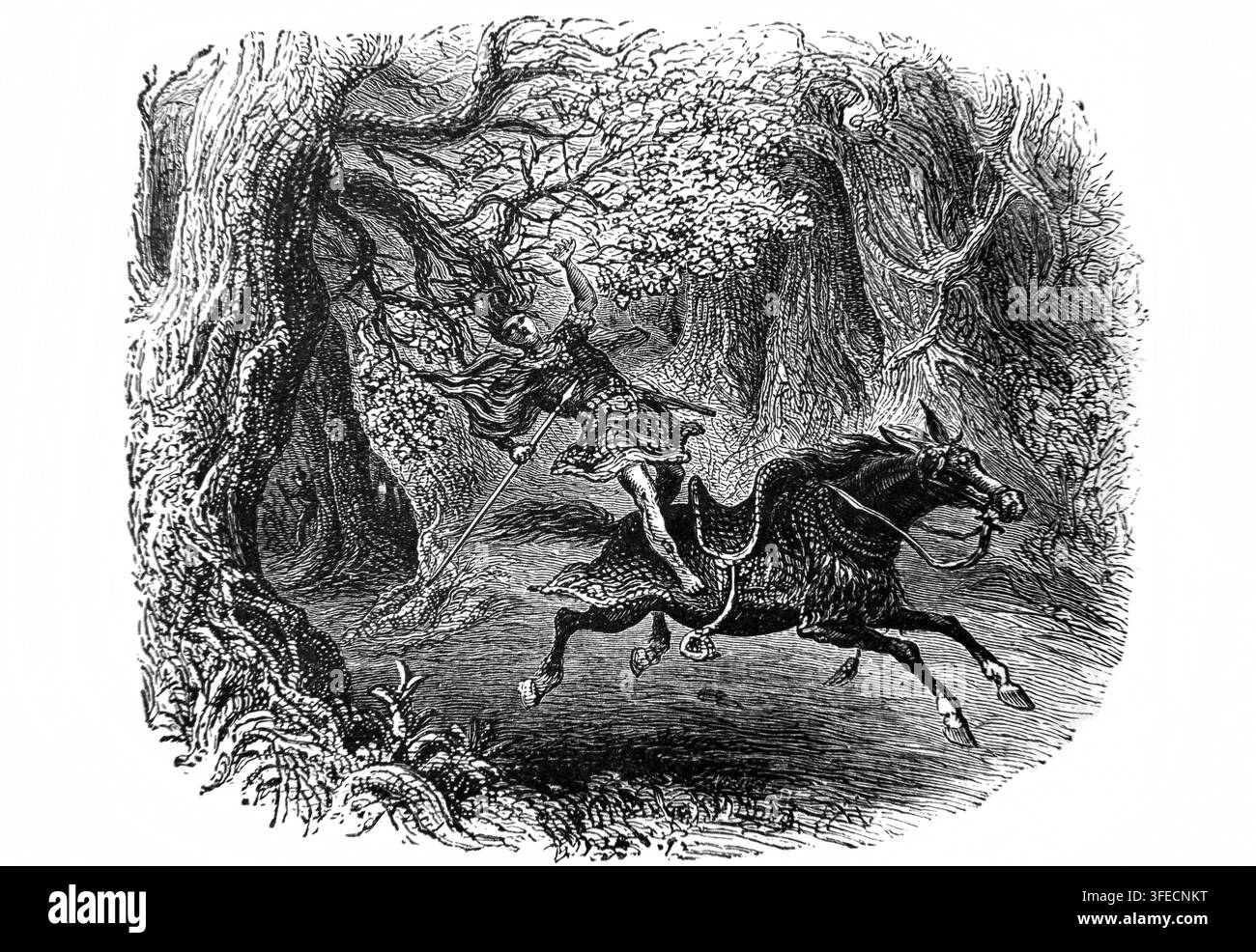 Illustrazione di Absalom (figlio del re Davide) sospeso per i capelli mentre cerca di fuggire dagli uomini di Davide, si è impigliato la testa su un ramo di una quercia, il suo mulo k Foto Stock