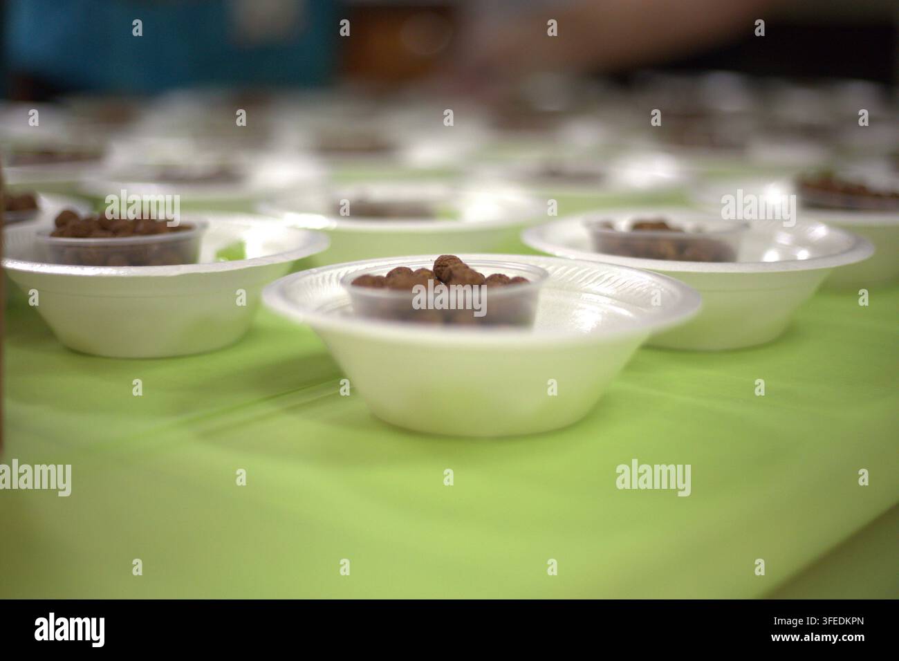 File di piccole tazze di plastica piene di cereali rotondi al cioccolato dentro ciotole monouso bianche su un tavolo verde, disposte per un test di gusto o un campione di cibo Foto Stock
