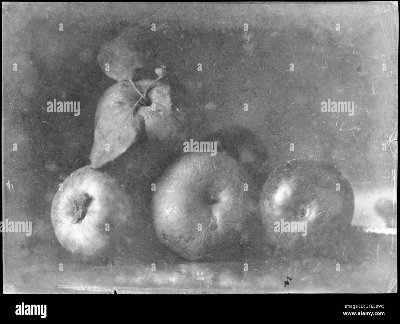 Una fotografia di natura morta di Henri Le Secq, un fotografo francese, che mostra tre frutti rotondi e un oggetto simile a una zucca essiccata, scattata tra il 1851 e il 1860. Foto Stock
