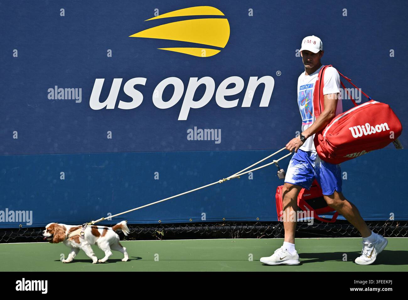 USA. 03 set, 2026. Il Cavalier King Charles Spaniel di Aryna Sabalenka di nome Ash visto lasciare il campo di pratica durante il Day 5 dell’US Open Tennis Championship 2026, USTA Billie Jean King National Tennis Center a Flushing Meadow-Corona Park, nel quartiere di Queens di New York, NY, il 3 settembre 2026. (Foto di Anthony Behar/Sipa USA) Credit: Sipa USA/Alamy Live News Foto Stock