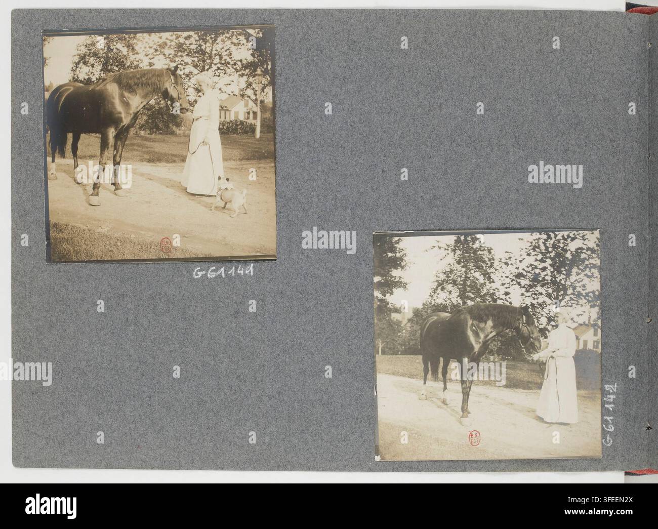 Due fotografie seppia di una donna in un lungo vestito chiaro in piedi accanto a un cavallo scuro su un sentiero sterrato, con alberi e fogliame sullo sfondo, montate su una pagina grigia strutturata, da un album di fotografie di un americano del Massachusetts, datato 1900-1903. Foto Stock