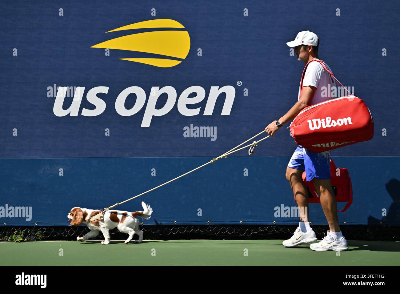 USA. 03 set, 2026. Il Cavalier King Charles Spaniel di Aryna Sabalenka di nome Ash visto lasciare il campo di pratica durante il Day 5 dell’US Open Tennis Championship 2026, USTA Billie Jean King National Tennis Center a Flushing Meadow-Corona Park, nel quartiere di Queens di New York, NY, il 3 settembre 2026. (Foto di Anthony Behar/Sipa USA) Credit: Sipa USA/Alamy Live News Foto Stock