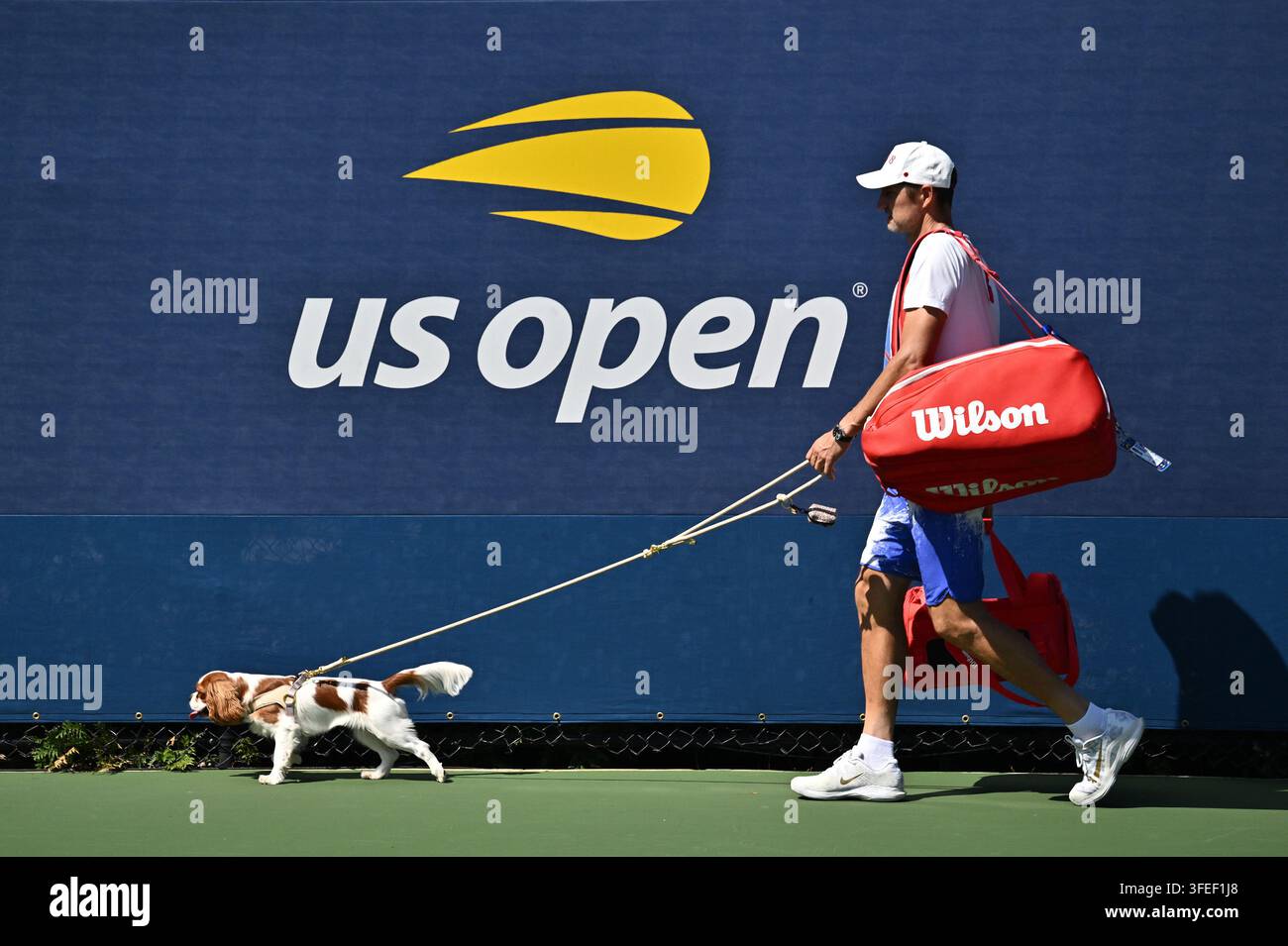 USA. 03 set, 2026. Il Cavalier King Charles Spaniel di Aryna Sabalenka di nome Ash visto lasciare il campo di pratica durante il Day 5 dell’US Open Tennis Championship 2026, USTA Billie Jean King National Tennis Center a Flushing Meadow-Corona Park, nel quartiere di Queens di New York, NY, il 3 settembre 2026. (Foto di Anthony Behar/Sipa USA) Credit: Sipa USA/Alamy Live News Foto Stock