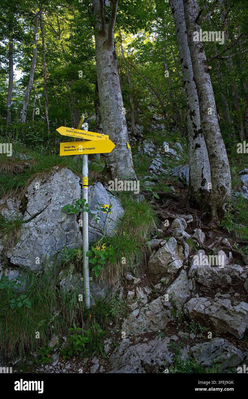 Bad Goisern, Austria - 13 luglio 2026: Cartello giallo per escursioni su un sentiero montano roccioso che indica l'Ewige Wand sul Predigstuhl nel Salzkammergut. Foto Stock