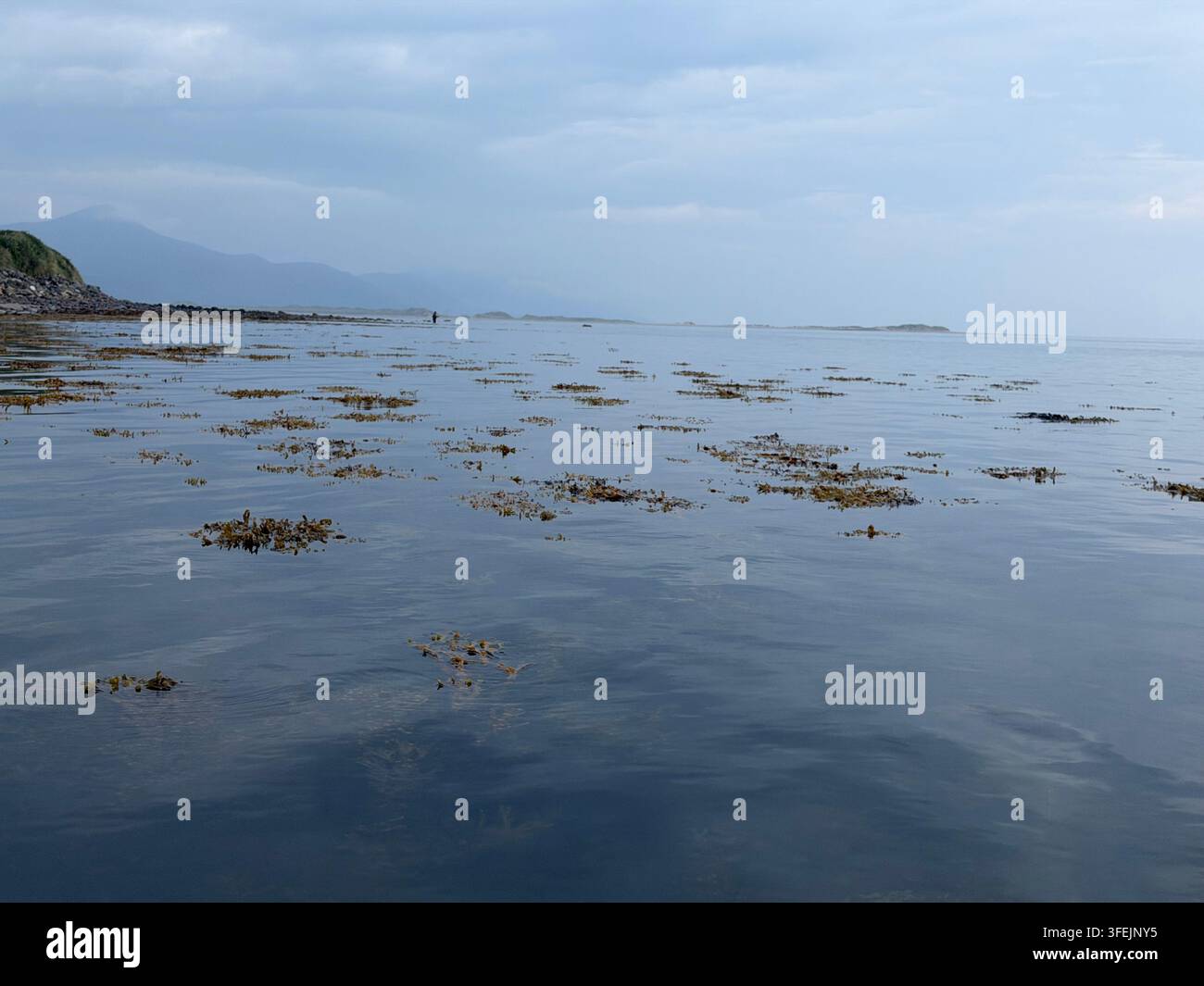 Pescatore solitario che pesca al porto di Castlemain, vicino a Cromane, Contea di Kerry, Irlanda. - Immagine stock catturata con smartphone