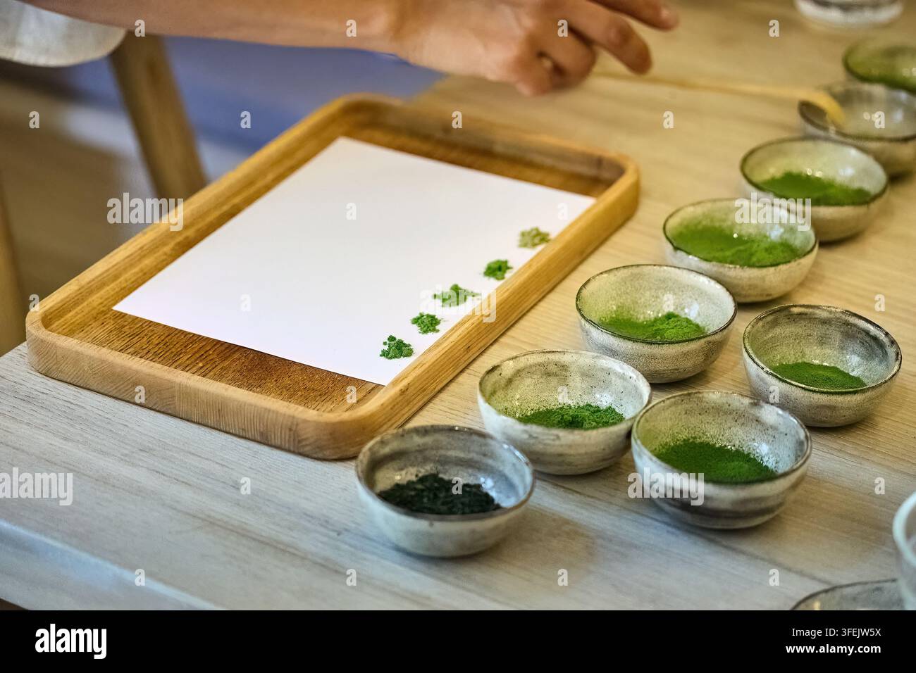 Campionatura e classificazione della polvere di tè verde matcha Foto Stock