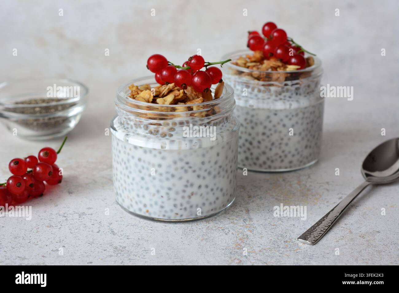 Pudding di chia con granola e ribes rossi in barattoli di vetro, vista frontale, spazio per il testo Foto Stock