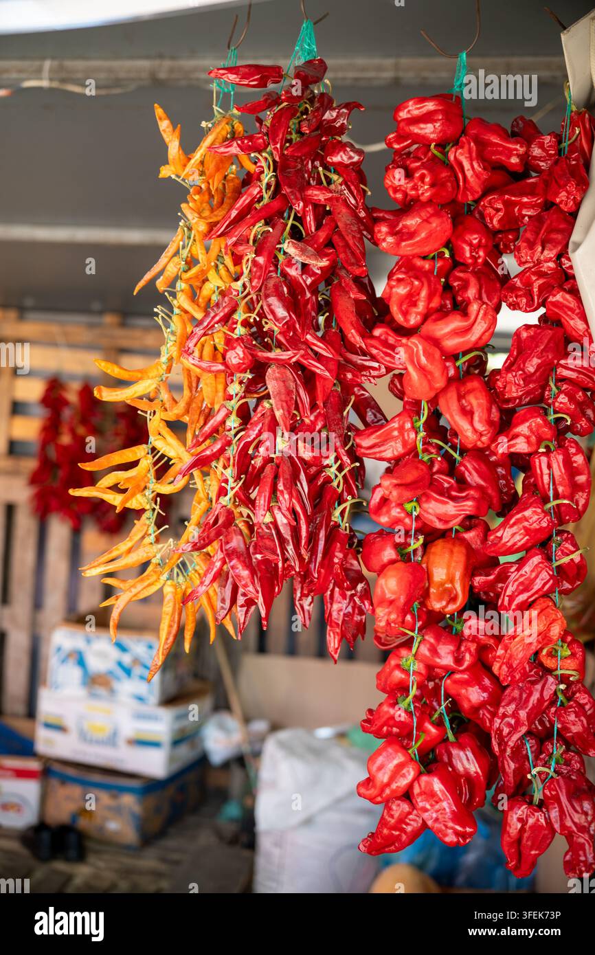 Ghirlande di pepe essiccato (Capsicum annuum) appese come una vivace esposizione di chili rossi piccanti e peperoni gialli in una bancarella tradizionale del mercato. Foto Stock