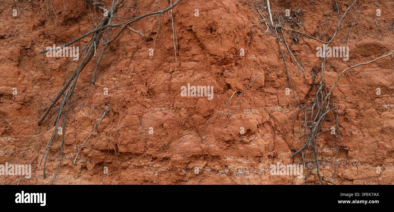 Prima vista di una pendenza di terreno argilloso rosso scavata lungo la strada con una texture naturale irregolare, vene e strisce minerali bianche friabili e radici secche Foto Stock