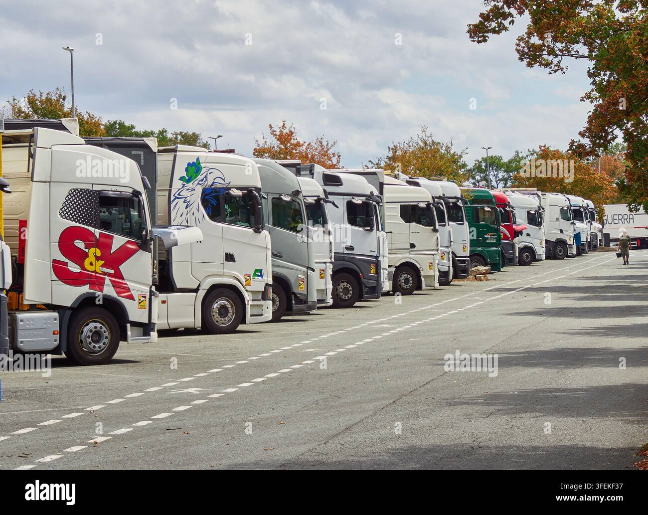 Filiera di camion merci parcheggiati a una stazione di servizio autostradale con una grande flotta di trasporto Foto Stock